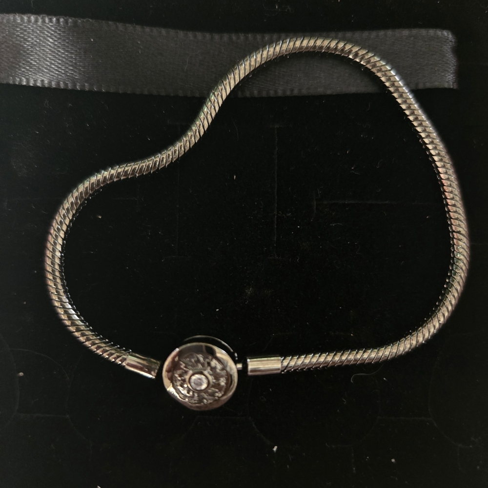 Black Snake Charm Bracelet